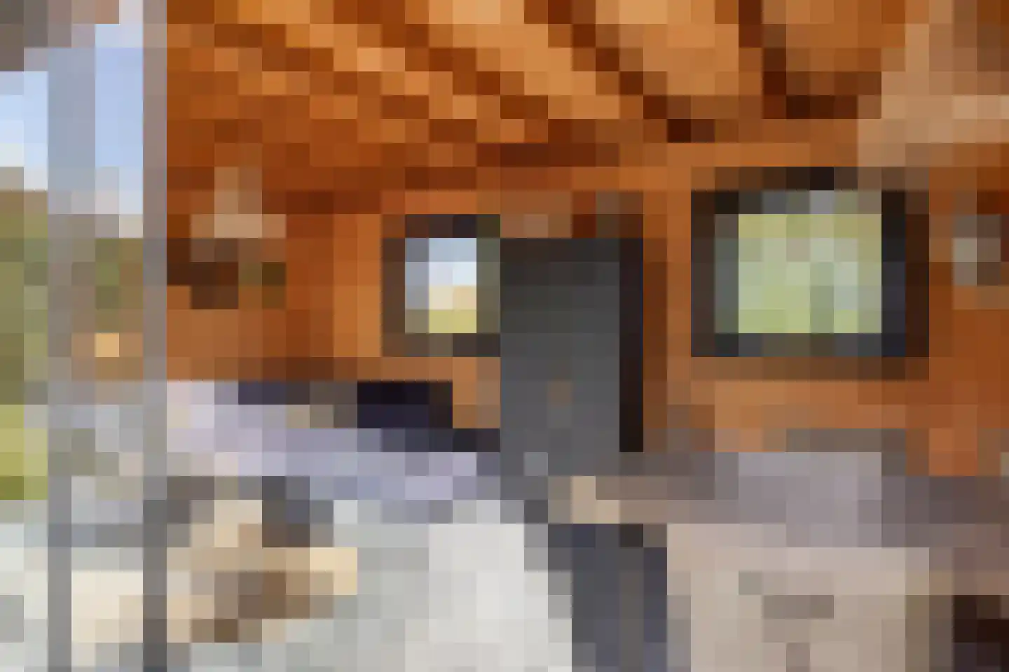 Stoofdijk 60 Dinteloord thumbnail 34