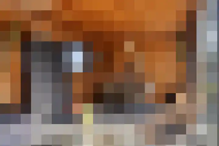 Stoofdijk 60 Dinteloord thumbnail 35