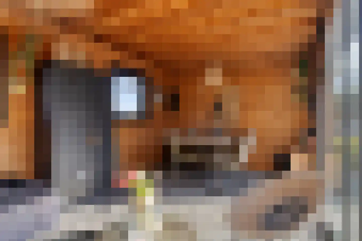 Stoofdijk 60 Dinteloord thumbnail 35