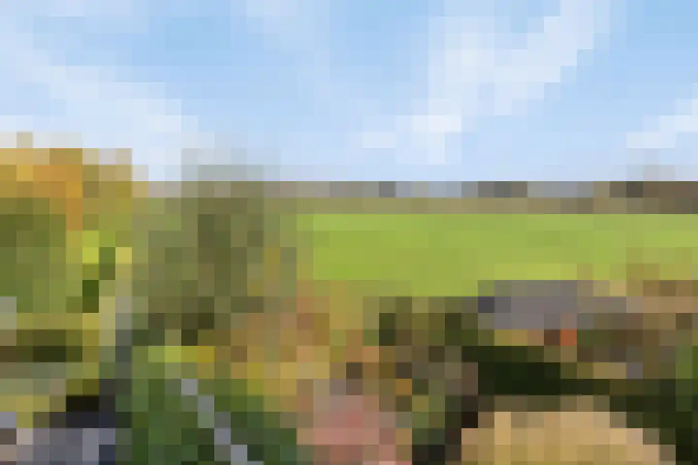 Stoofdijk 60 Dinteloord thumbnail 38