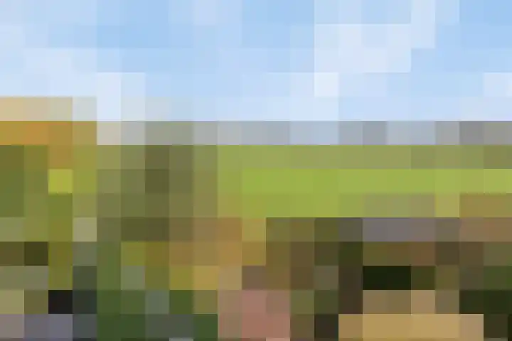 Stoofdijk 60 Dinteloord thumbnail 38