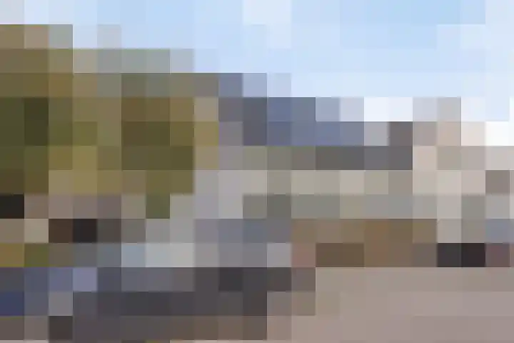 Stoofdijk 60 Dinteloord thumbnail 39