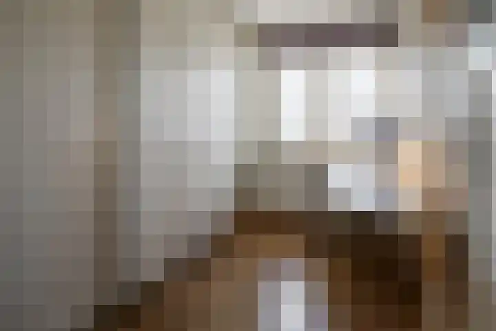 Stoofdijk 60 Dinteloord thumbnail 45