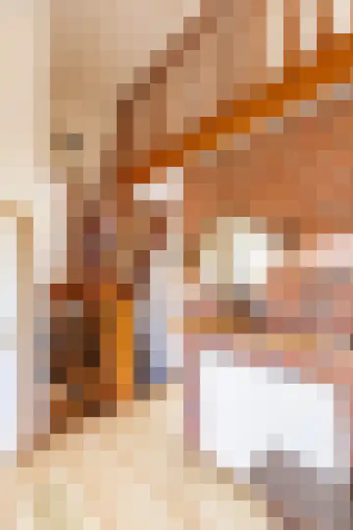 Stoofdijk 60 Dinteloord thumbnail 6