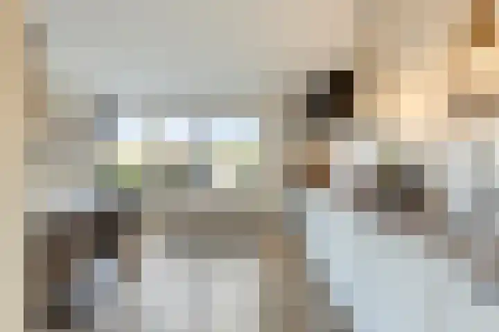 Stoofdijk 60 Dinteloord thumbnail 8