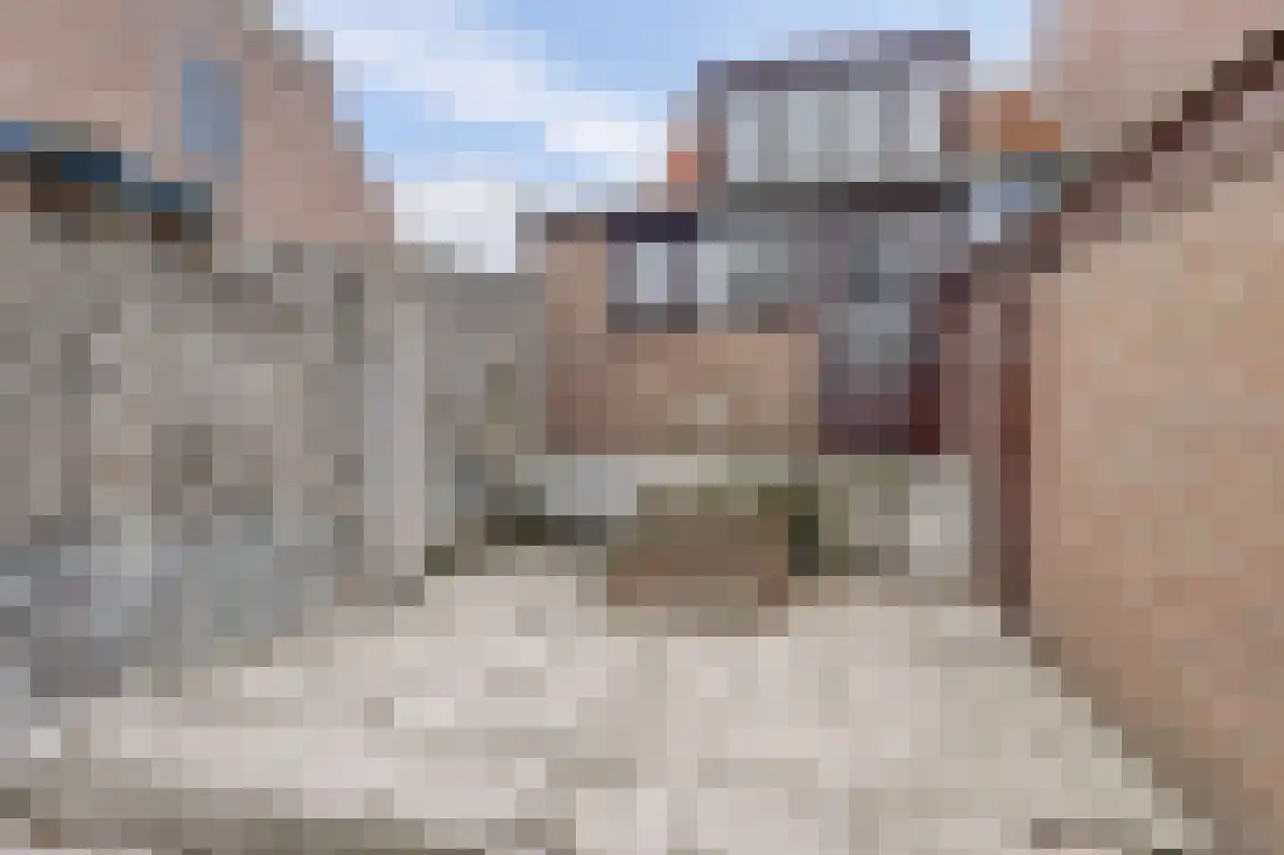 Stoofdijk 79 Stavenisse thumbnail 22