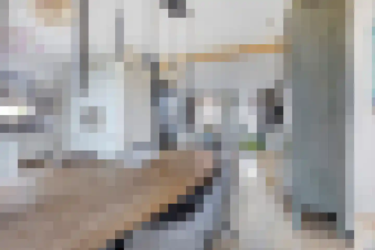 Stoofdijk 84 Dinteloord thumbnail 14