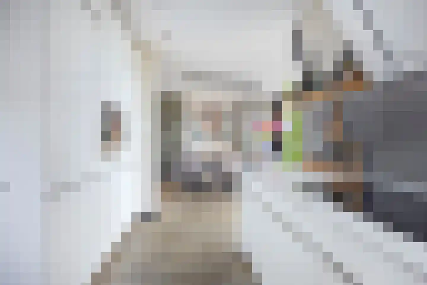 Stoofdijk 84 Dinteloord thumbnail 18