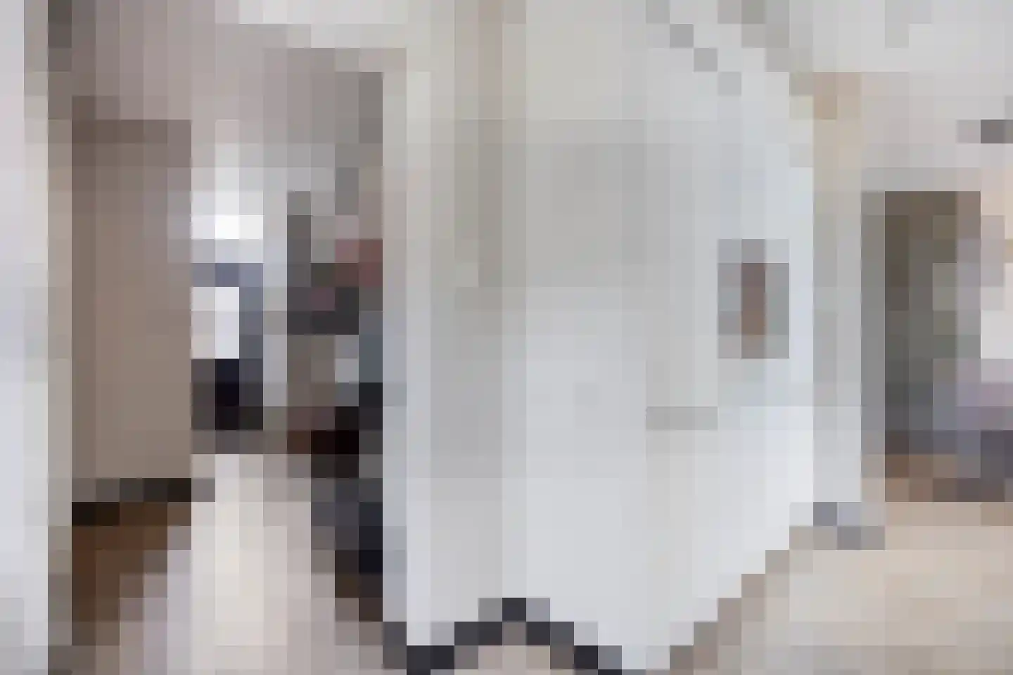 Stoofdijk 84 Dinteloord thumbnail 20