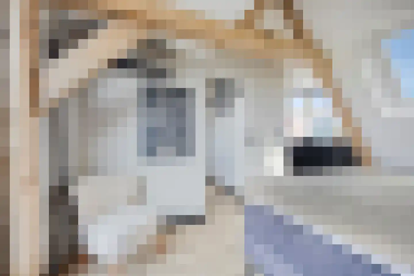 Stoofdijk 84 Dinteloord thumbnail 26