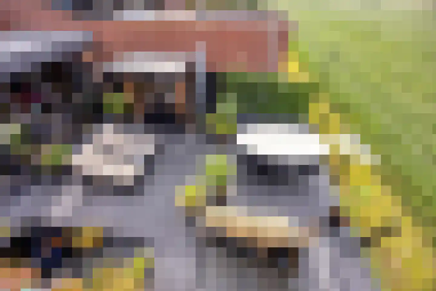 Stoofdijk 84 Dinteloord thumbnail 35