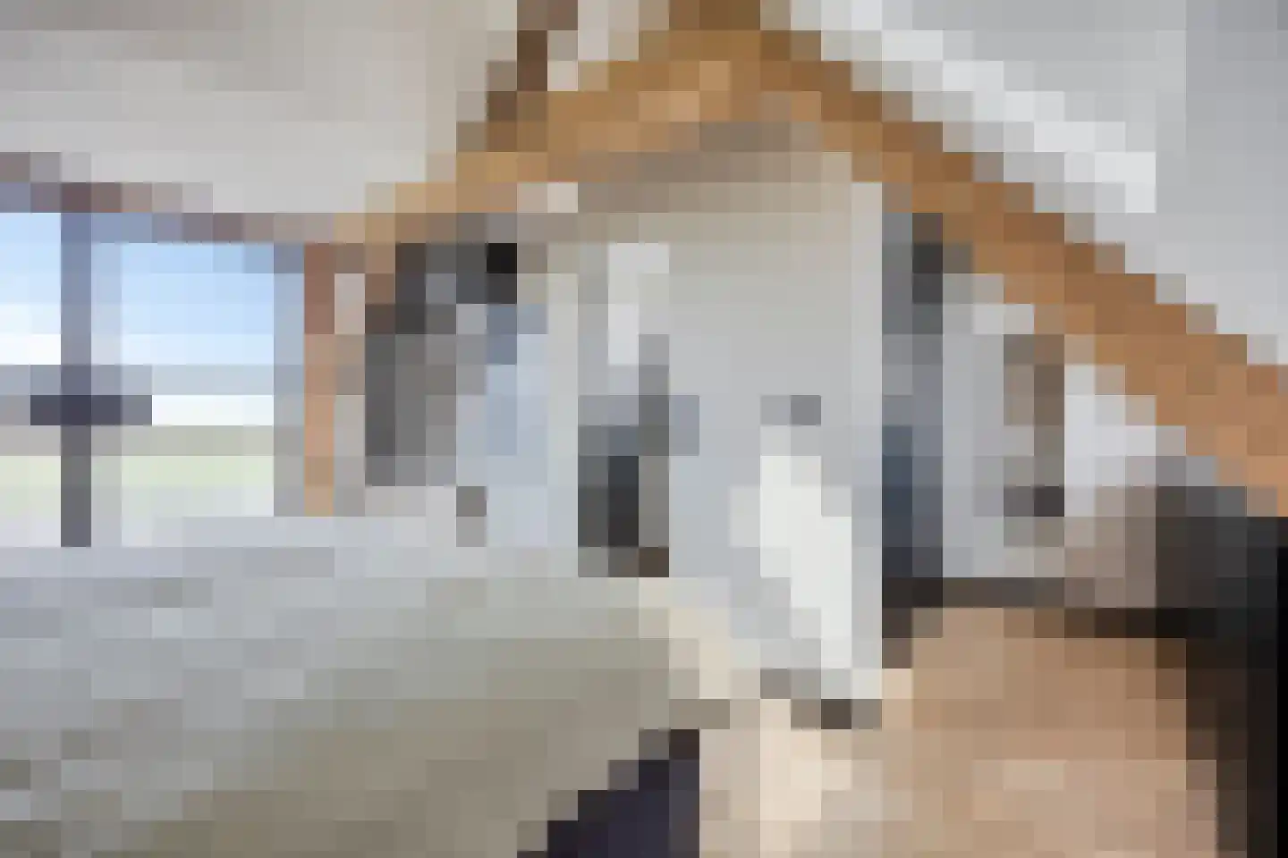 Stoofdijk 84 Dinteloord thumbnail 4