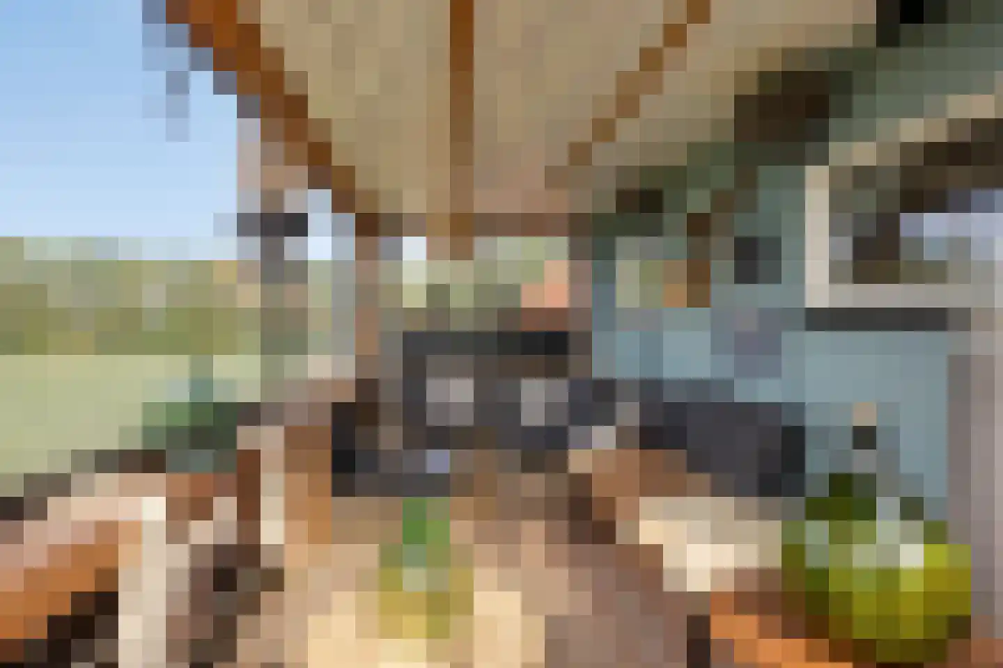 Stoofdijk 84 Dinteloord thumbnail 40