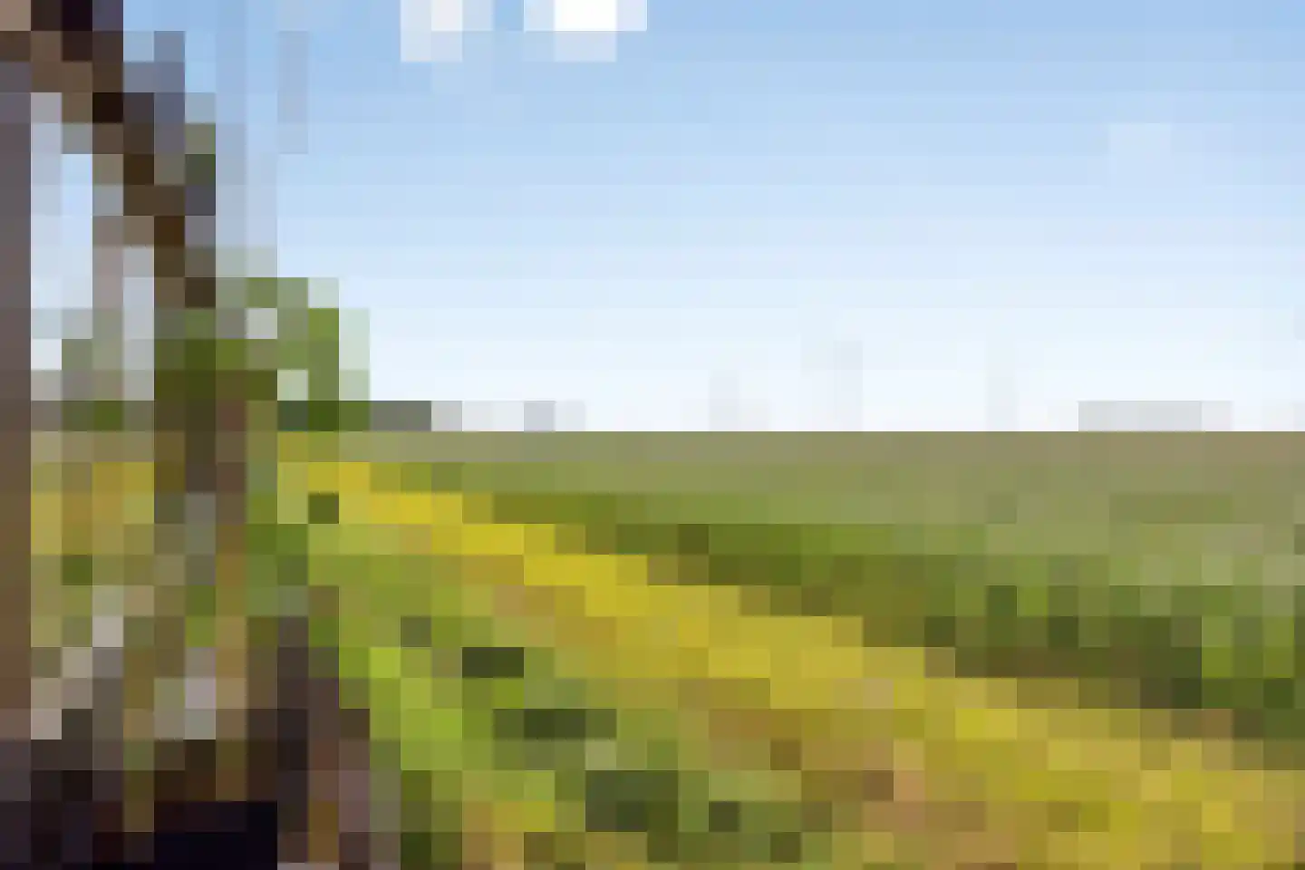Stoofdijk 84 Dinteloord thumbnail 42