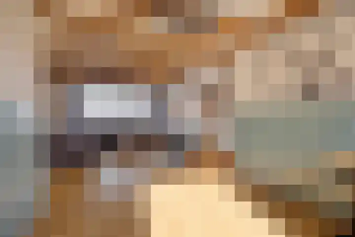 Stoofdijk 9 Dinteloord thumbnail 12