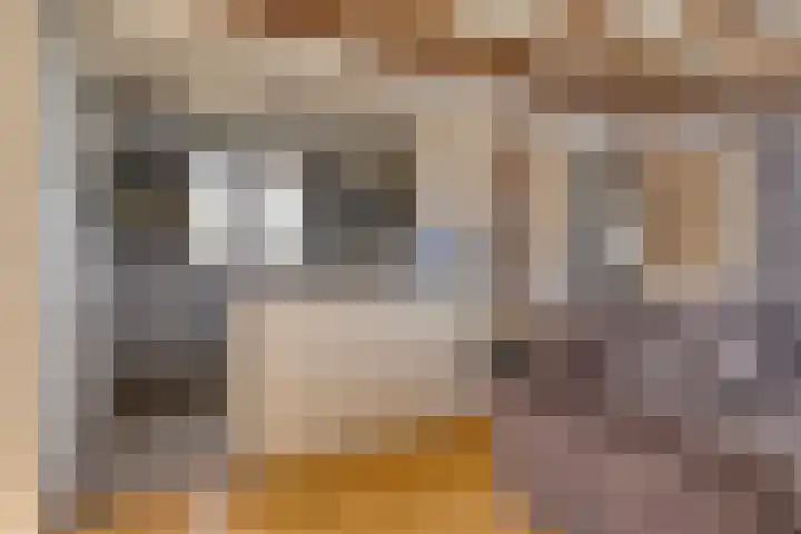 Stoofdijk 9 Dinteloord thumbnail 13