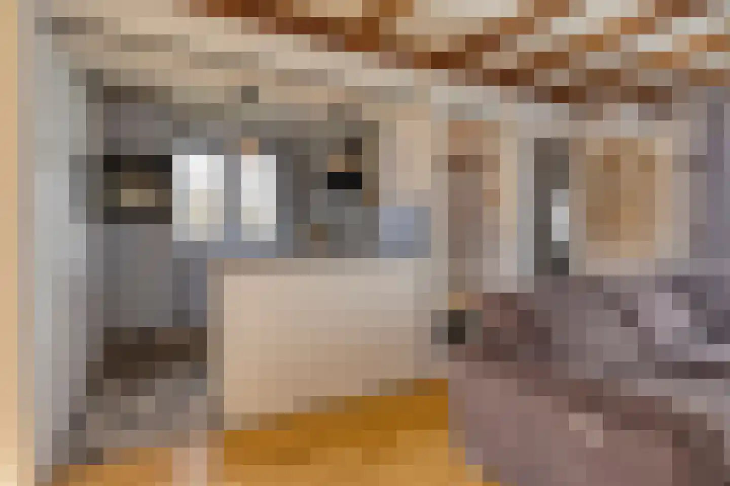 Stoofdijk 9 Dinteloord thumbnail 13