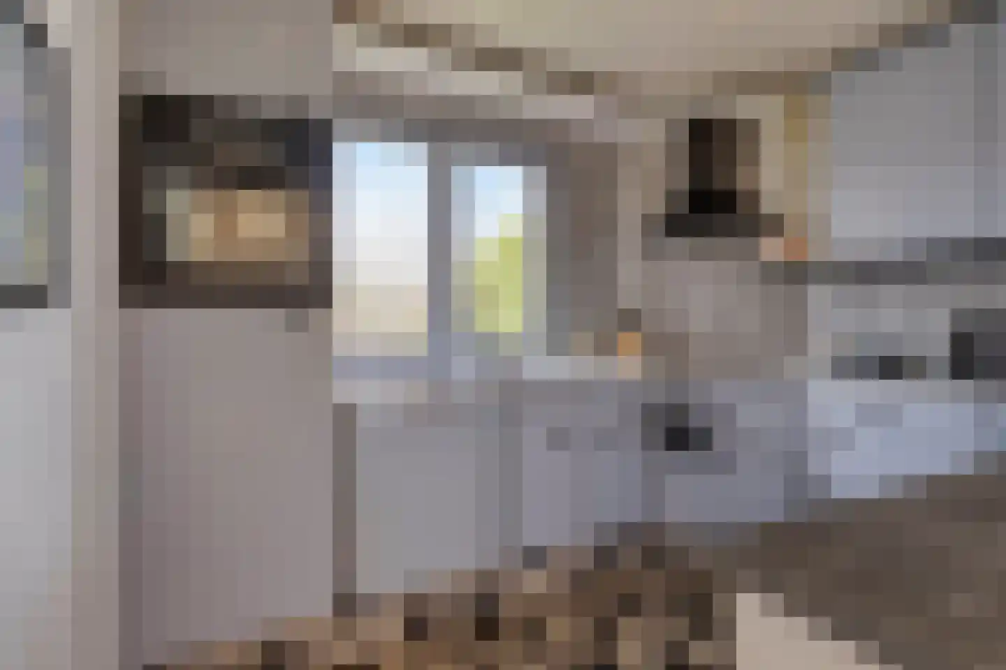 Stoofdijk 9 Dinteloord thumbnail 14