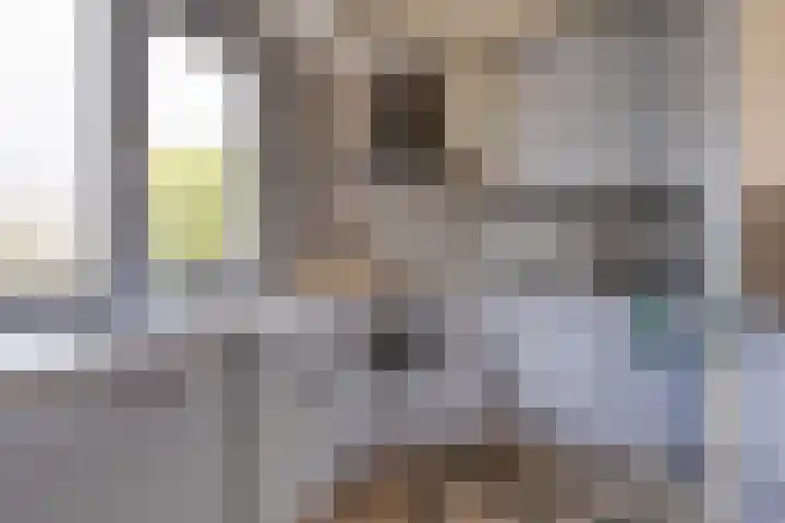 Stoofdijk 9 Dinteloord thumbnail 15