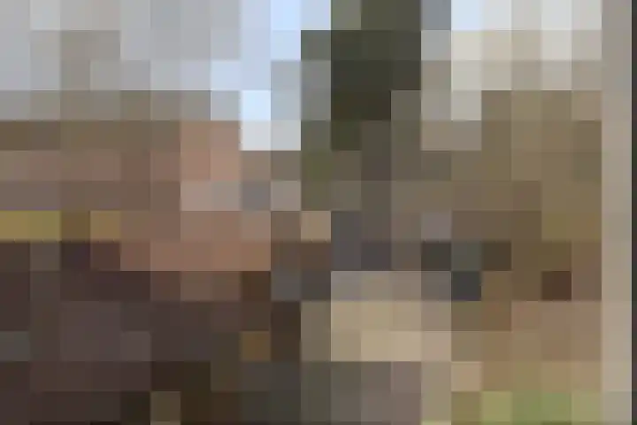Stoofdijk 9 Dinteloord thumbnail 16