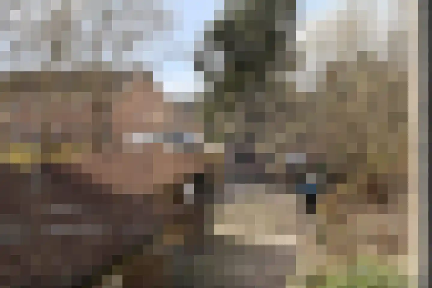 Stoofdijk 9 Dinteloord thumbnail 16