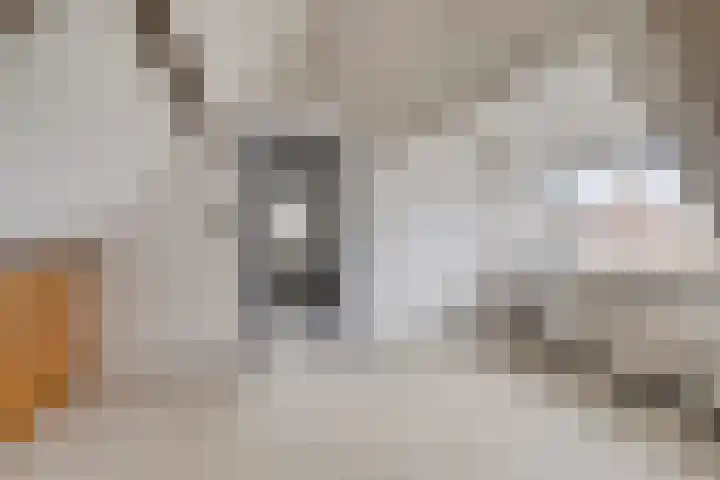 Stoofdijk 9 Dinteloord thumbnail 23
