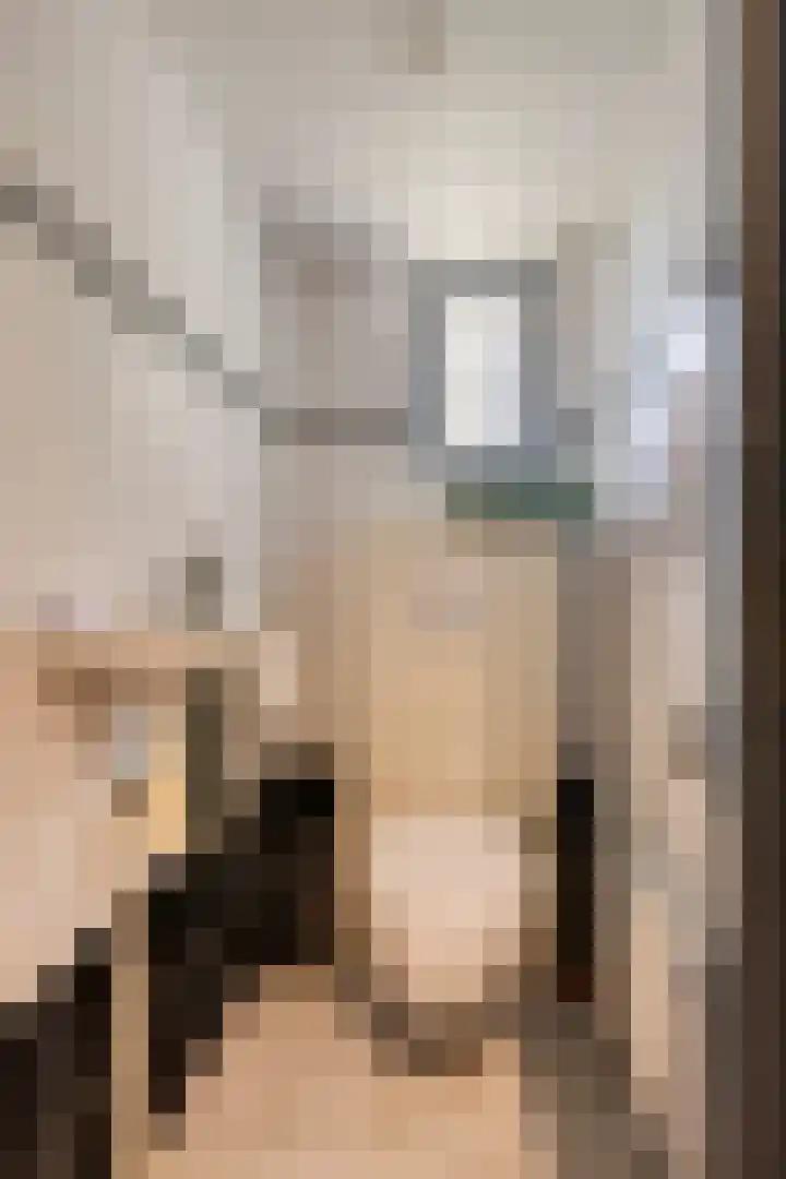 Stoofdijk 9 Dinteloord thumbnail 30