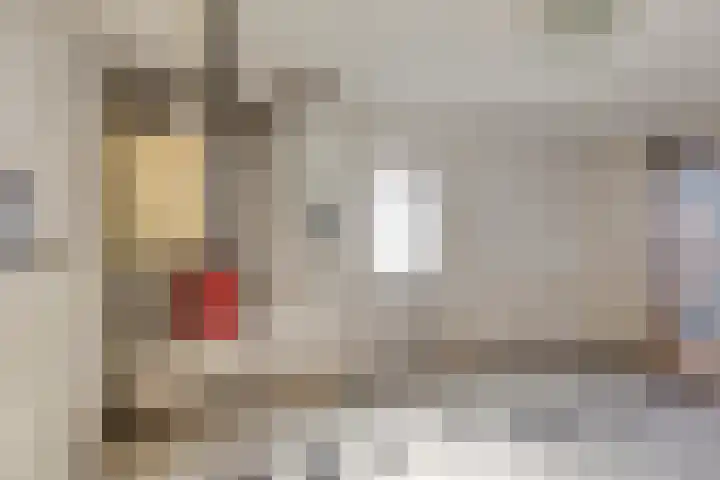 Stoofdijk 9 Dinteloord thumbnail 32