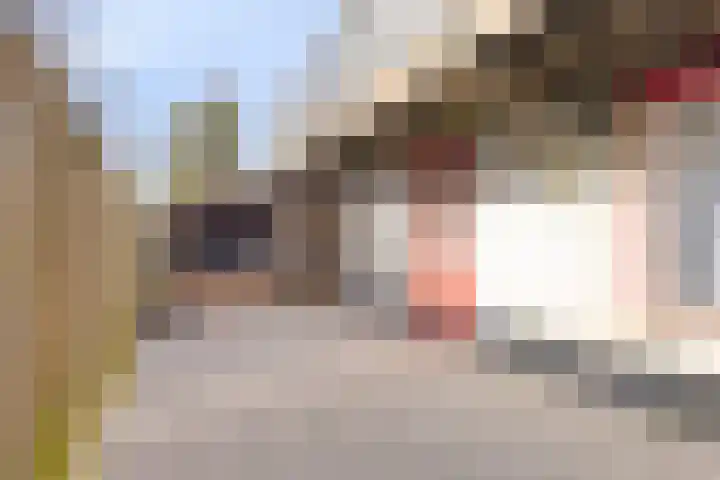 Stoofdijk 9 Dinteloord thumbnail 34