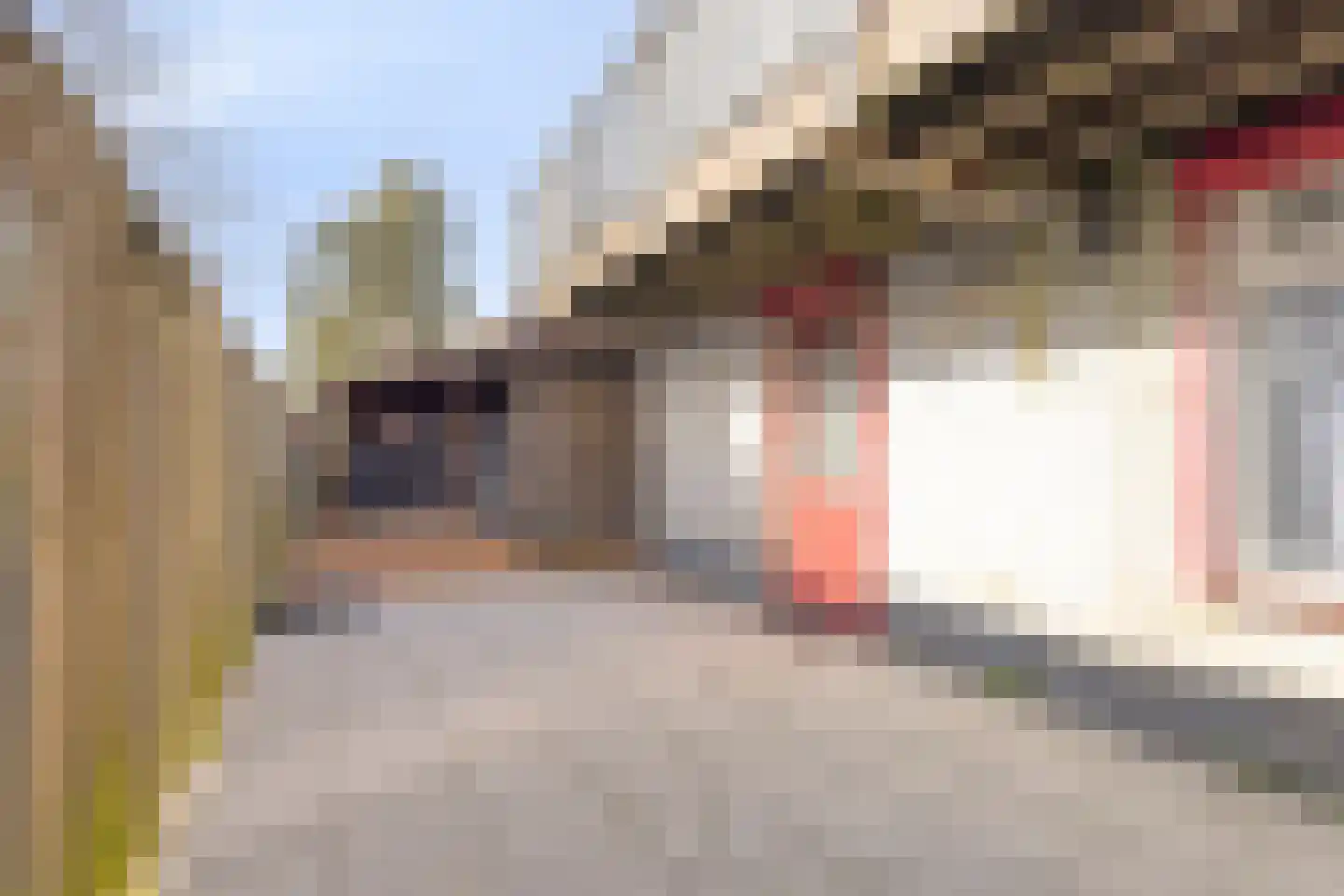 Stoofdijk 9 Dinteloord thumbnail 34