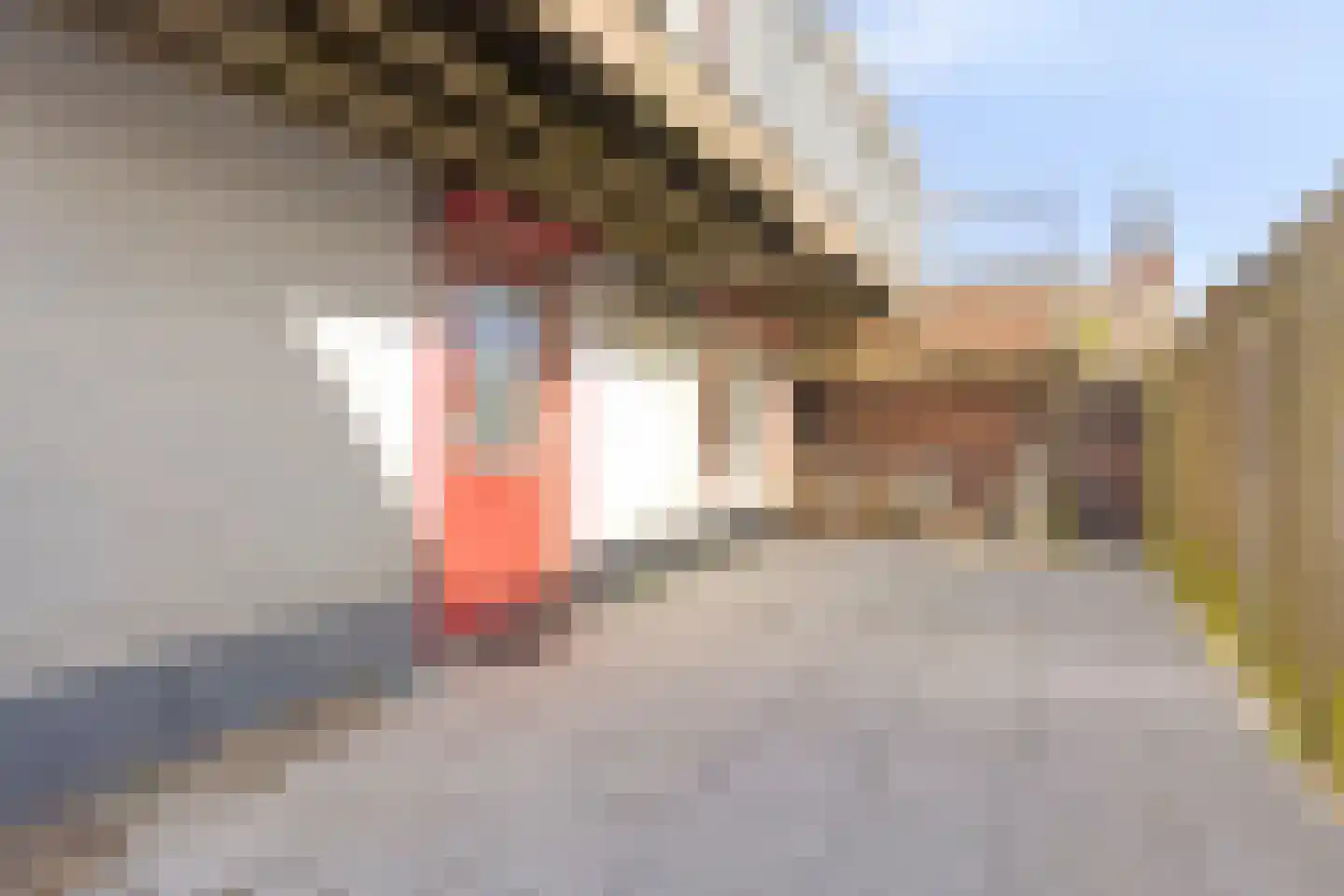 Stoofdijk 9 Dinteloord thumbnail 35