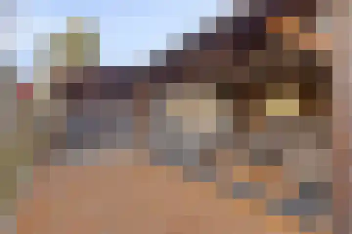 Stoofdijk 9 Dinteloord thumbnail 36