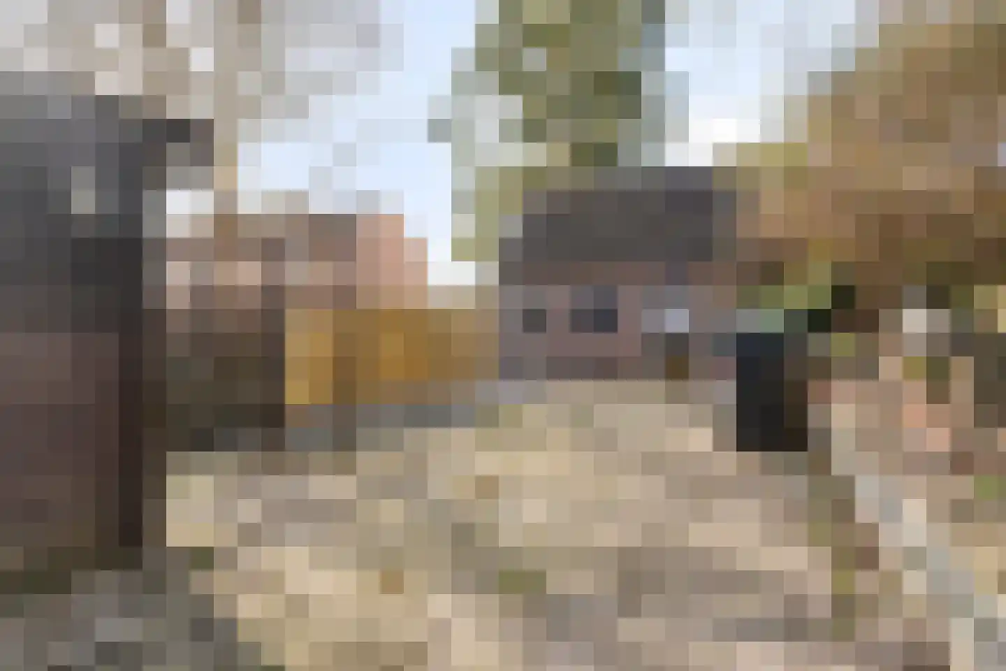 Stoofdijk 9 Dinteloord thumbnail 38