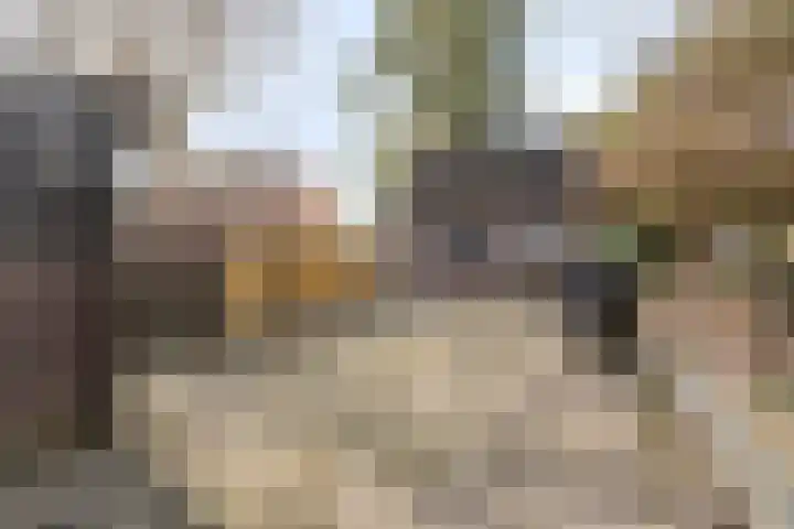 Stoofdijk 9 Dinteloord thumbnail 38