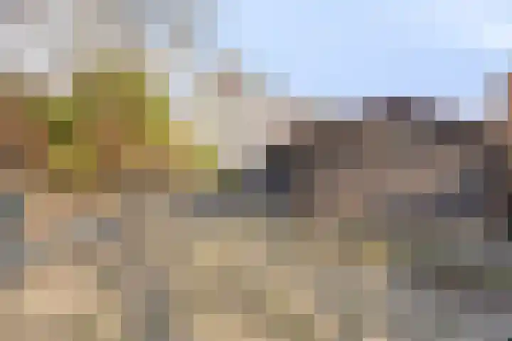 Stoofdijk 9 Dinteloord thumbnail 39