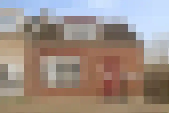 Stoofdijk 9 Dinteloord thumbnail 4