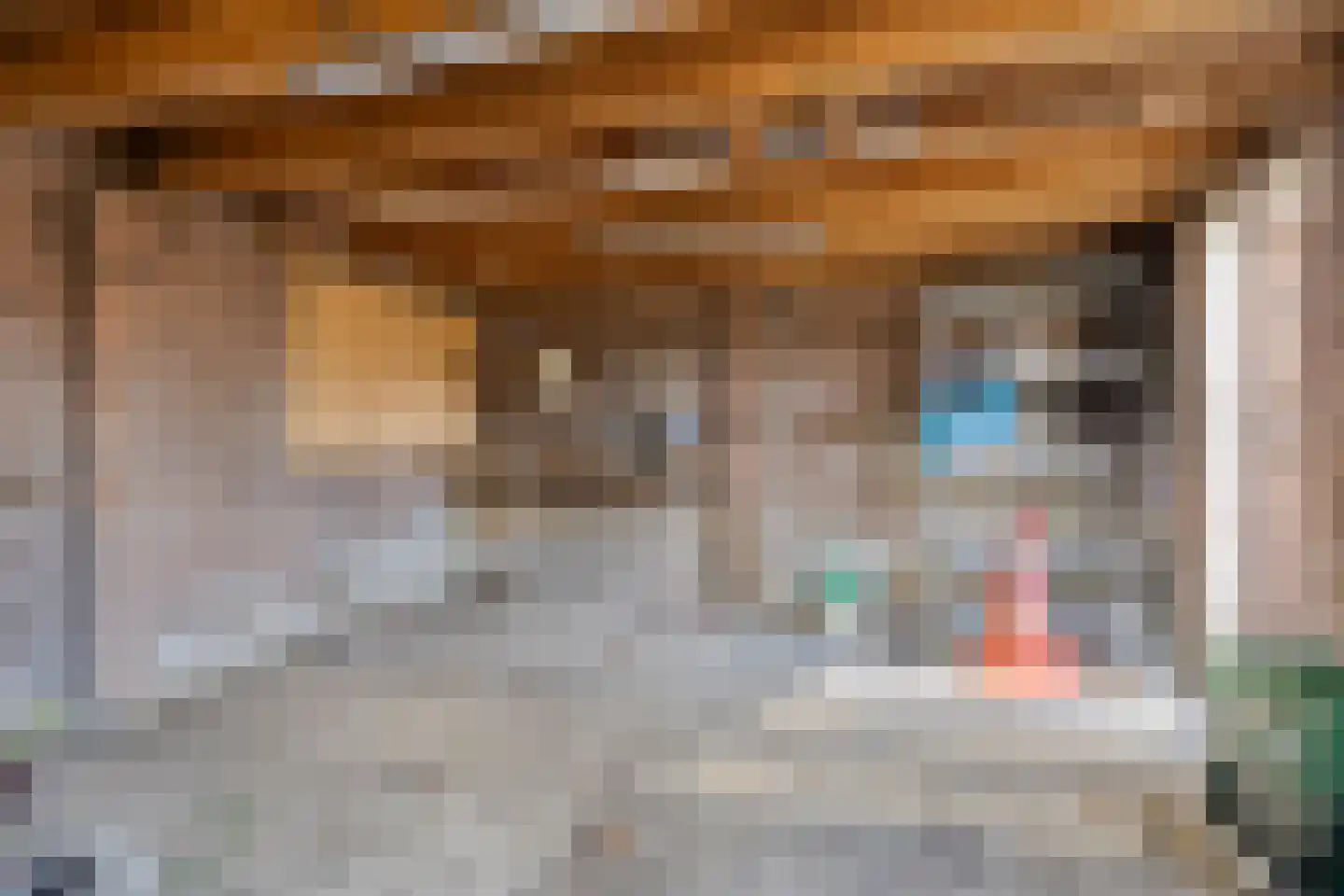 Stoofdijk 9 Dinteloord thumbnail 40