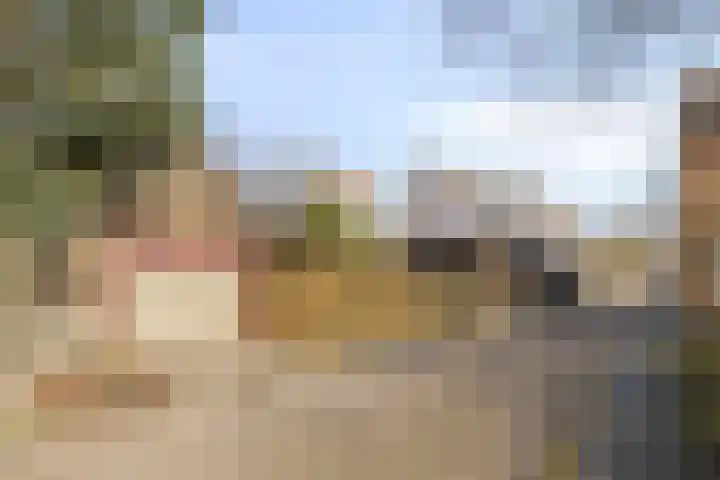Stoofdijk 9 Dinteloord thumbnail 41