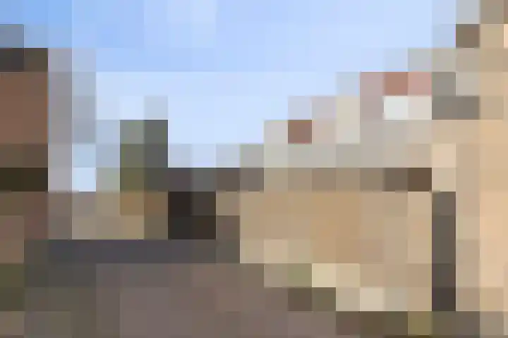 Stoofdijk 9 Dinteloord thumbnail 42