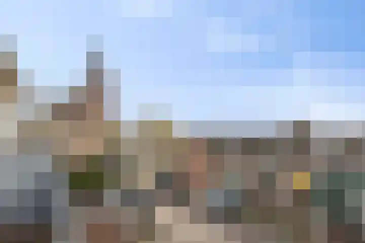 Stoofdijk 9 Dinteloord thumbnail 44