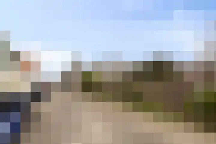 Stoofdijk 9 Dinteloord thumbnail 6