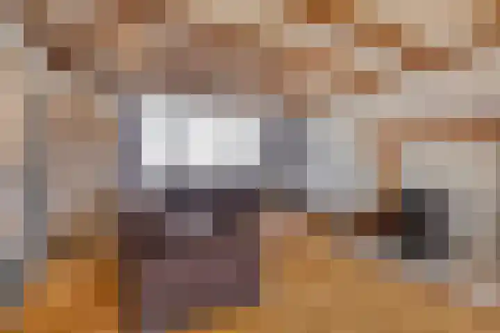 Stoofdijk 9 Dinteloord thumbnail 8