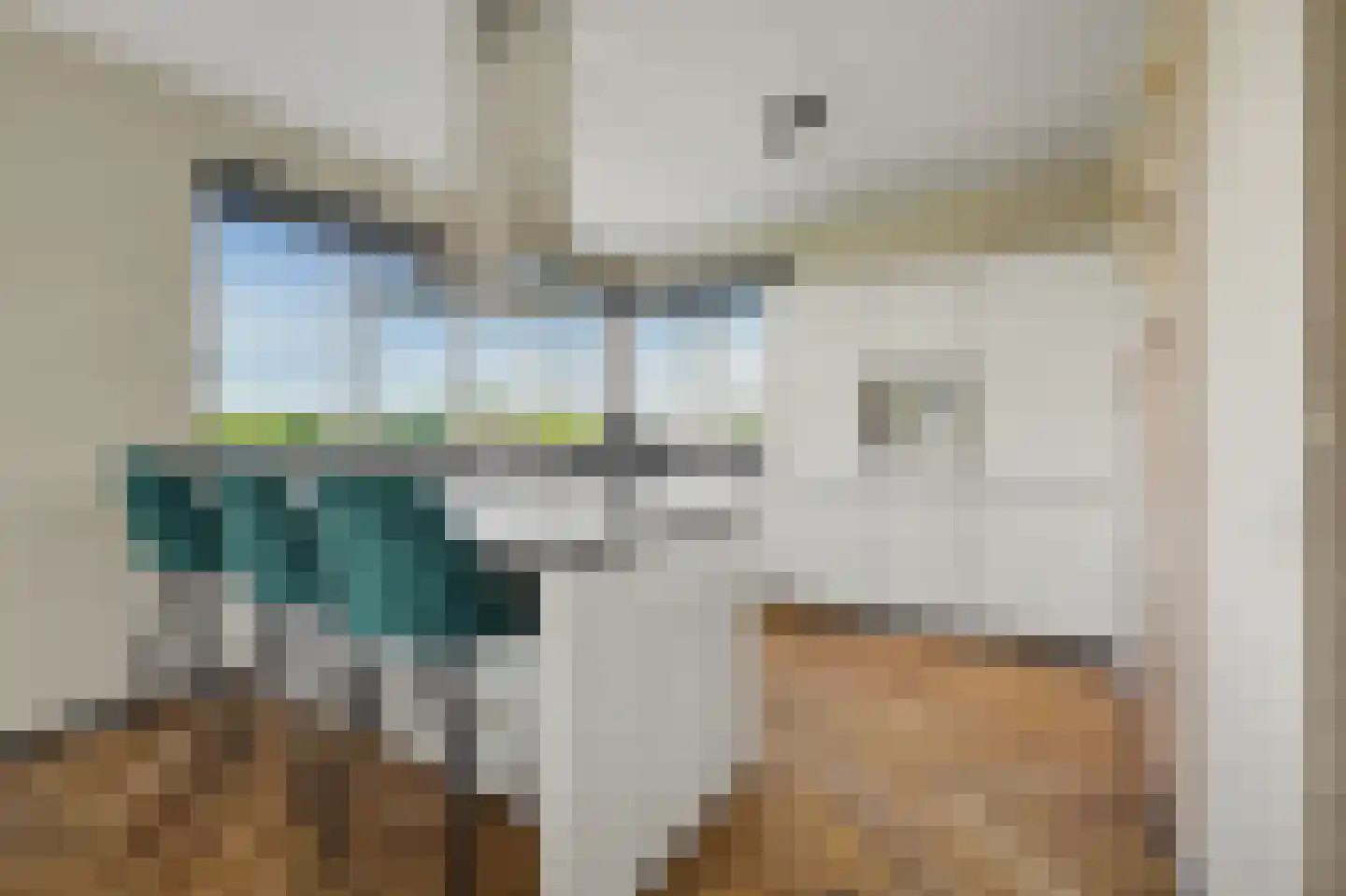 Stoofheule 9 Nieuwerkerk thumbnail 11