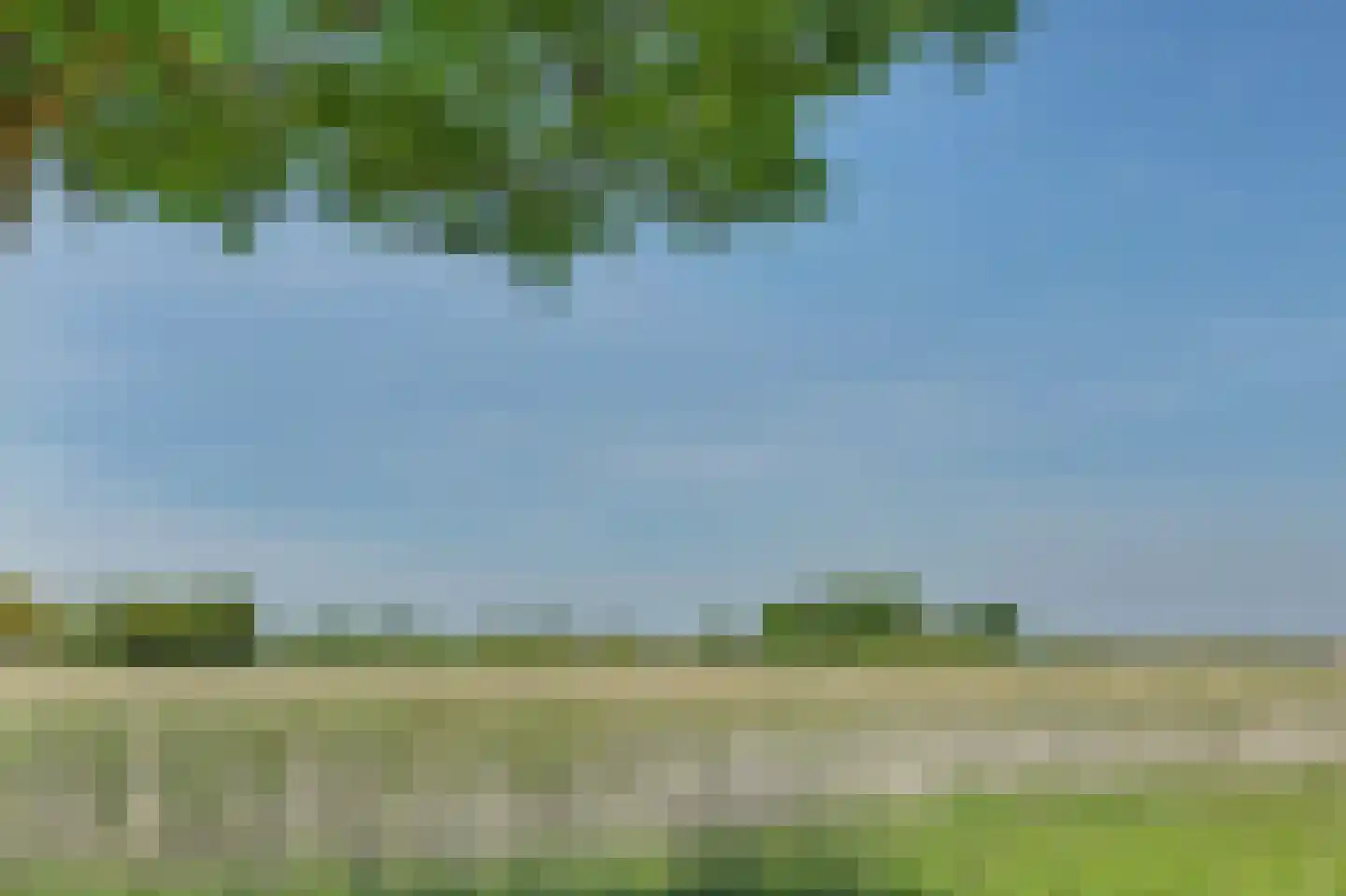 Stoofheule 9 Nieuwerkerk thumbnail 15