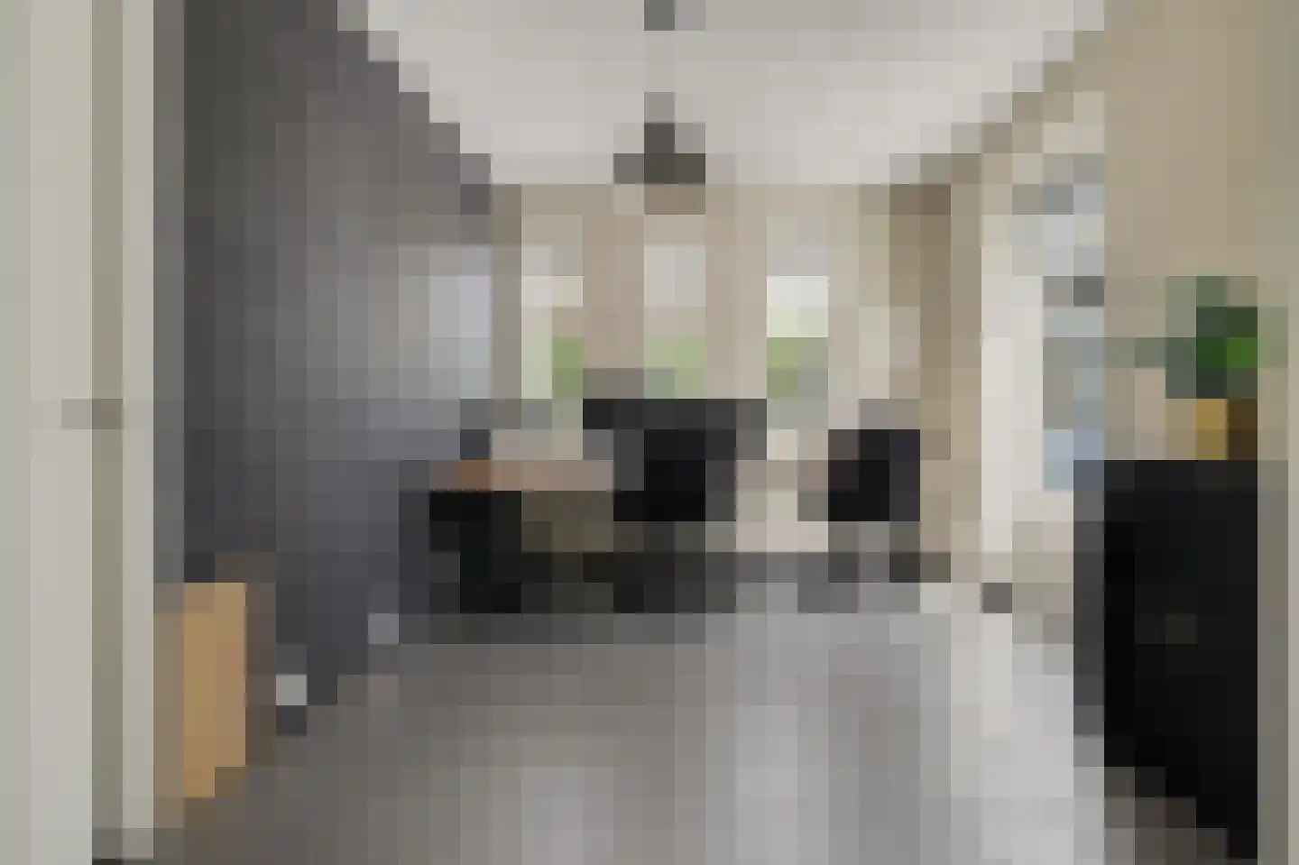 Stoofheule 9 Nieuwerkerk thumbnail 18