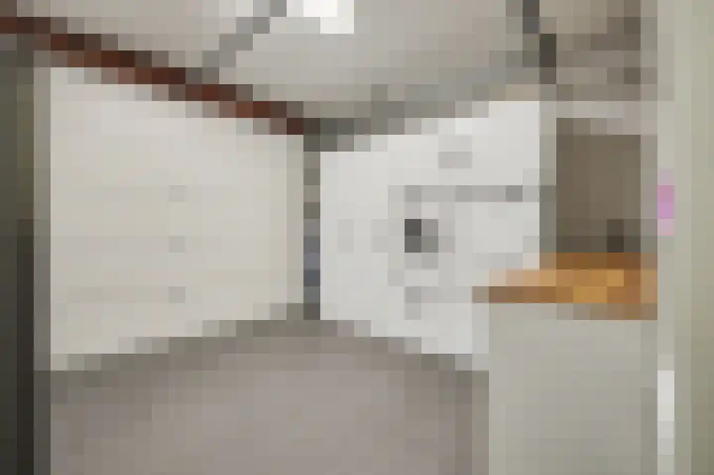 Stoofheule 9 Nieuwerkerk thumbnail 22