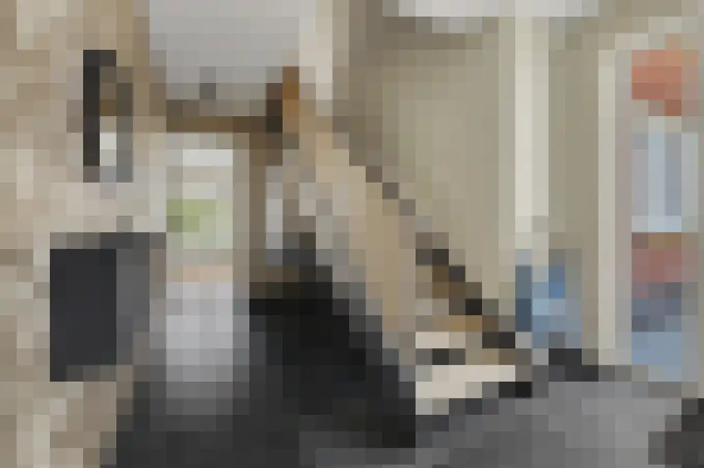 Stoofheule 9 Nieuwerkerk thumbnail 23