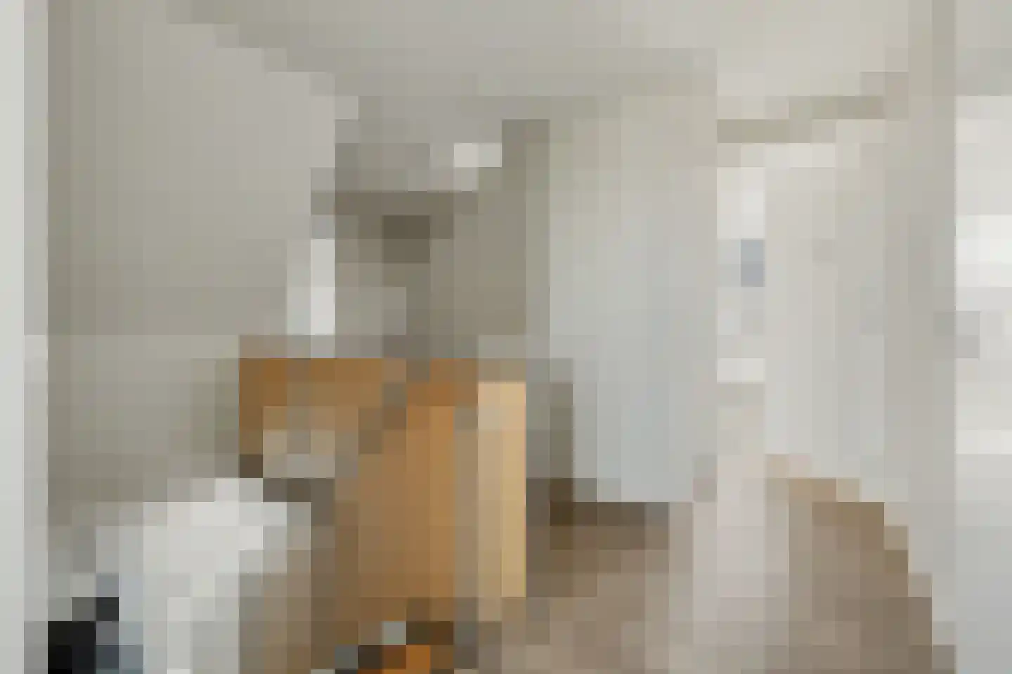 Stoofheule 9 Nieuwerkerk thumbnail 24