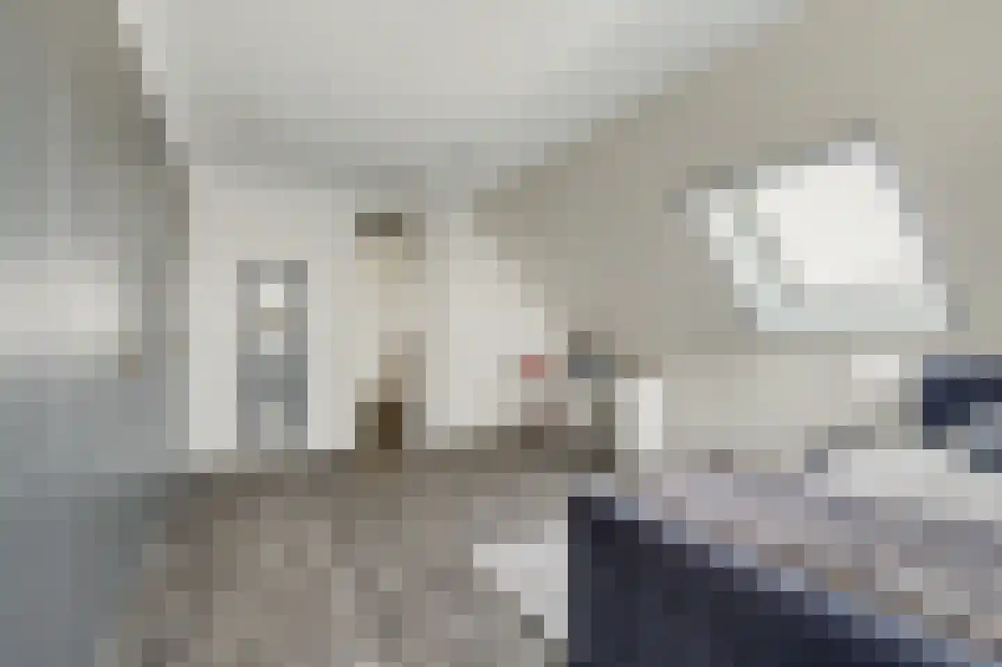 Stoofheule 9 Nieuwerkerk thumbnail 26