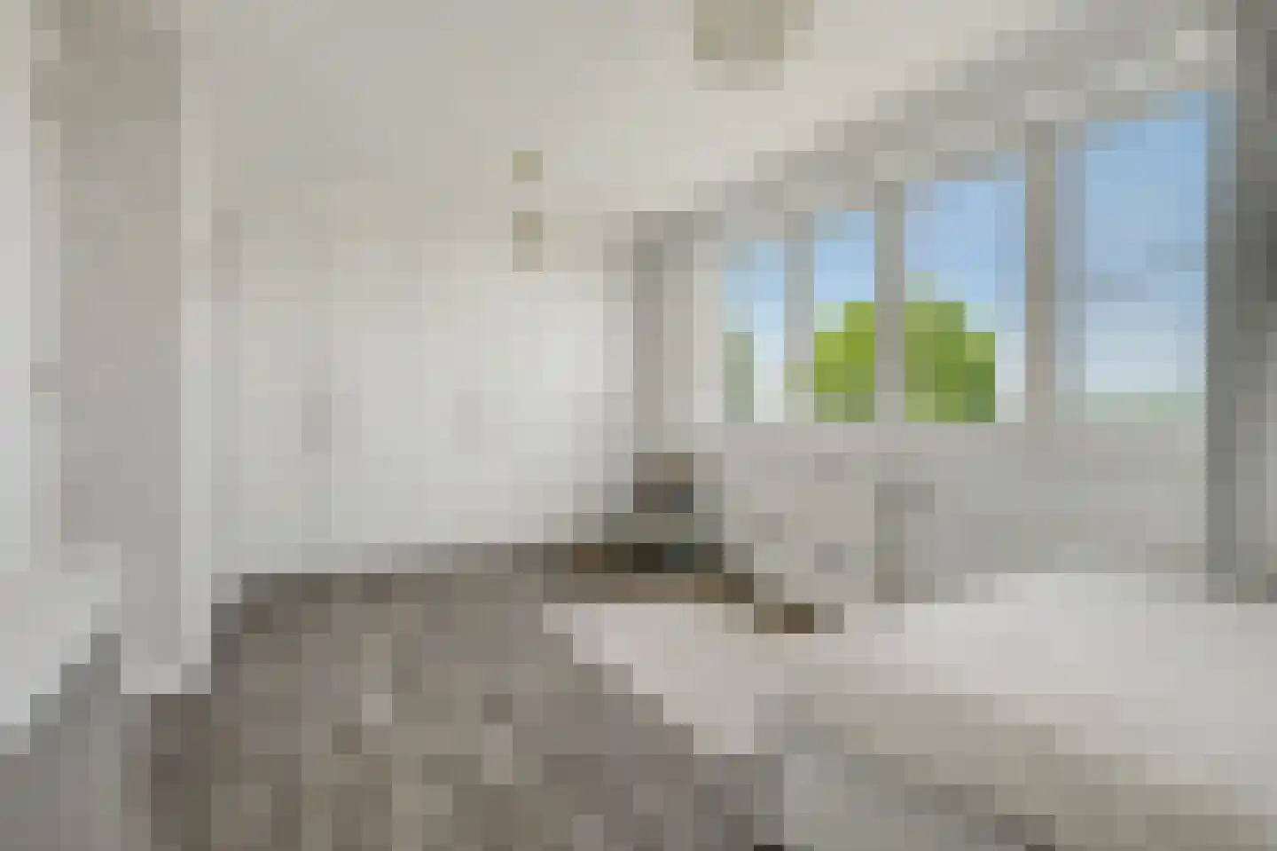 Stoofheule 9 Nieuwerkerk thumbnail 28